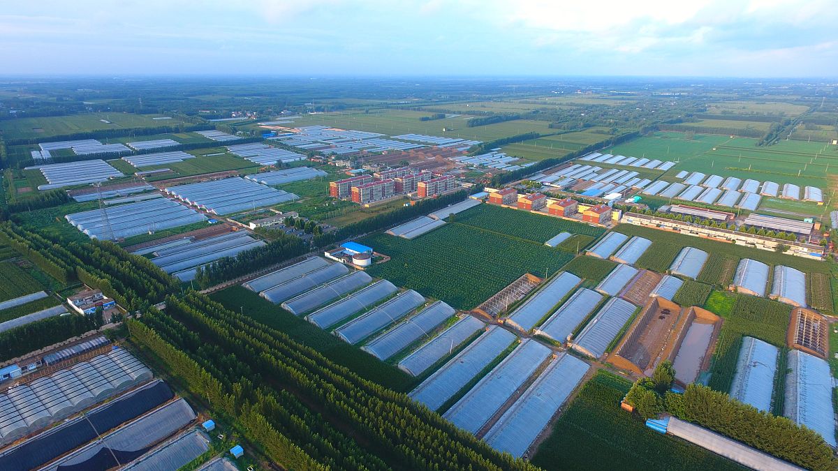 淮安EOD项目专班人员拜访淮安市淮阴农业发展有限公司工程科科长韩明珠咨询政府办公会推进相关事宜增进交流。