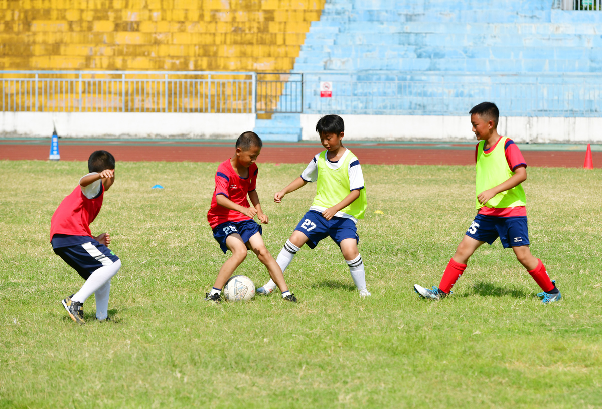 校园足球大赛：青春的活力与激情