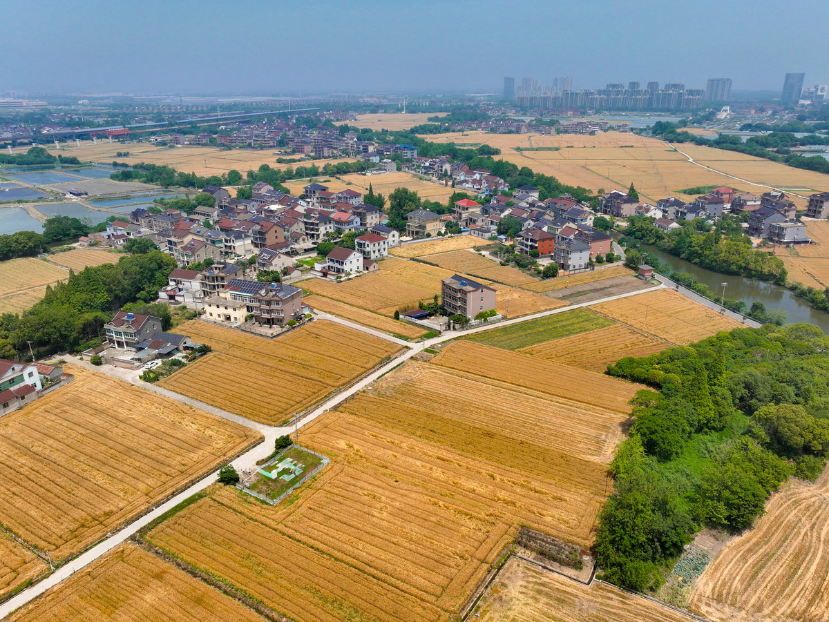 结合具体政策条例以及经济社会相关数据谈谈太仓市浏河镇新塘村的发展条件和发展机遇