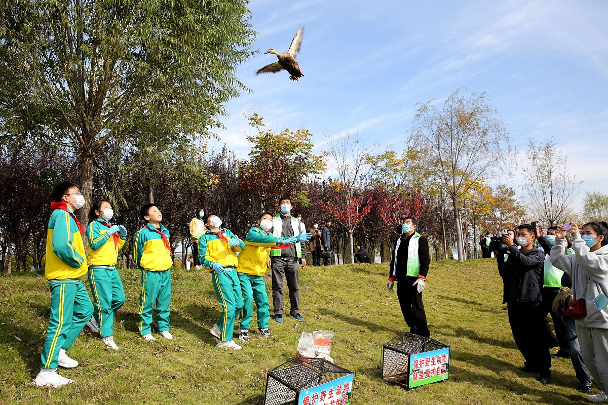 学校研学旅行活动总结从活动准备活动过程、意义等方面