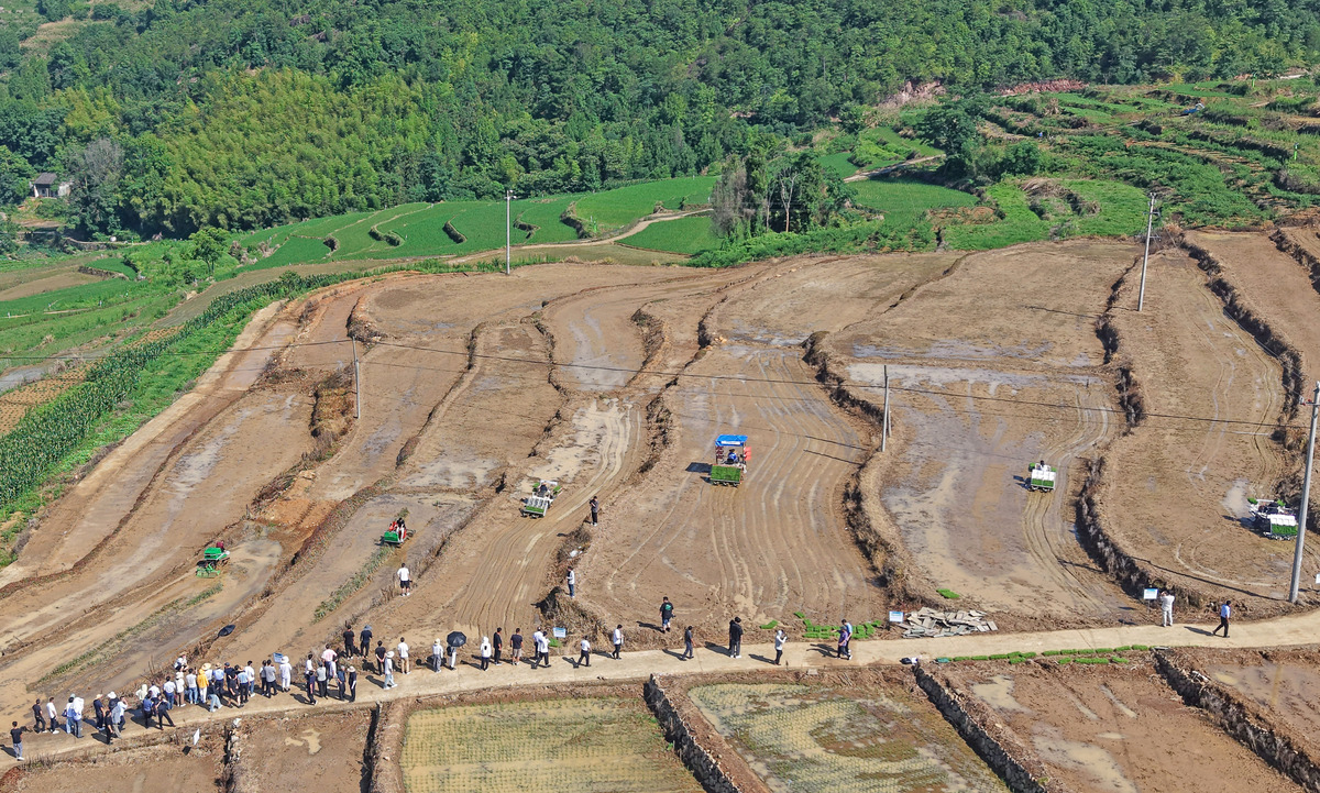 6.8亩园地复垦方案：预算2万元