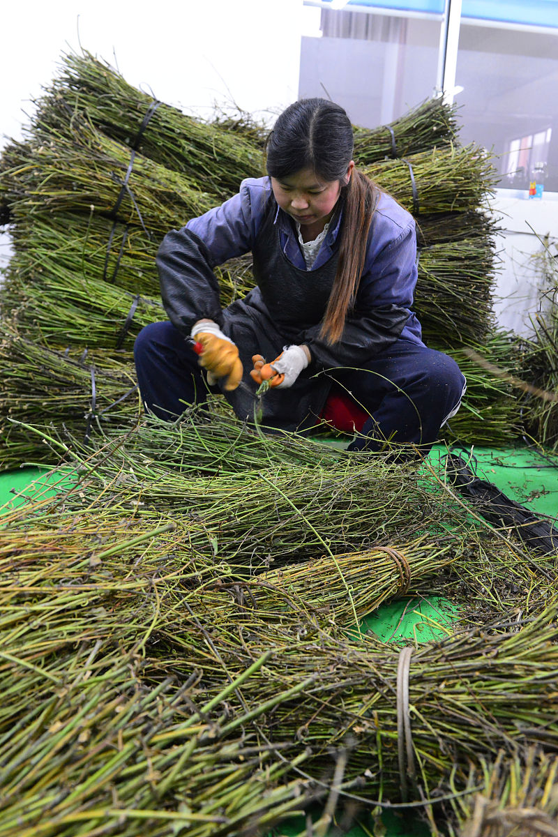 贵州工业职业技术学院化学工艺专业好就业吗