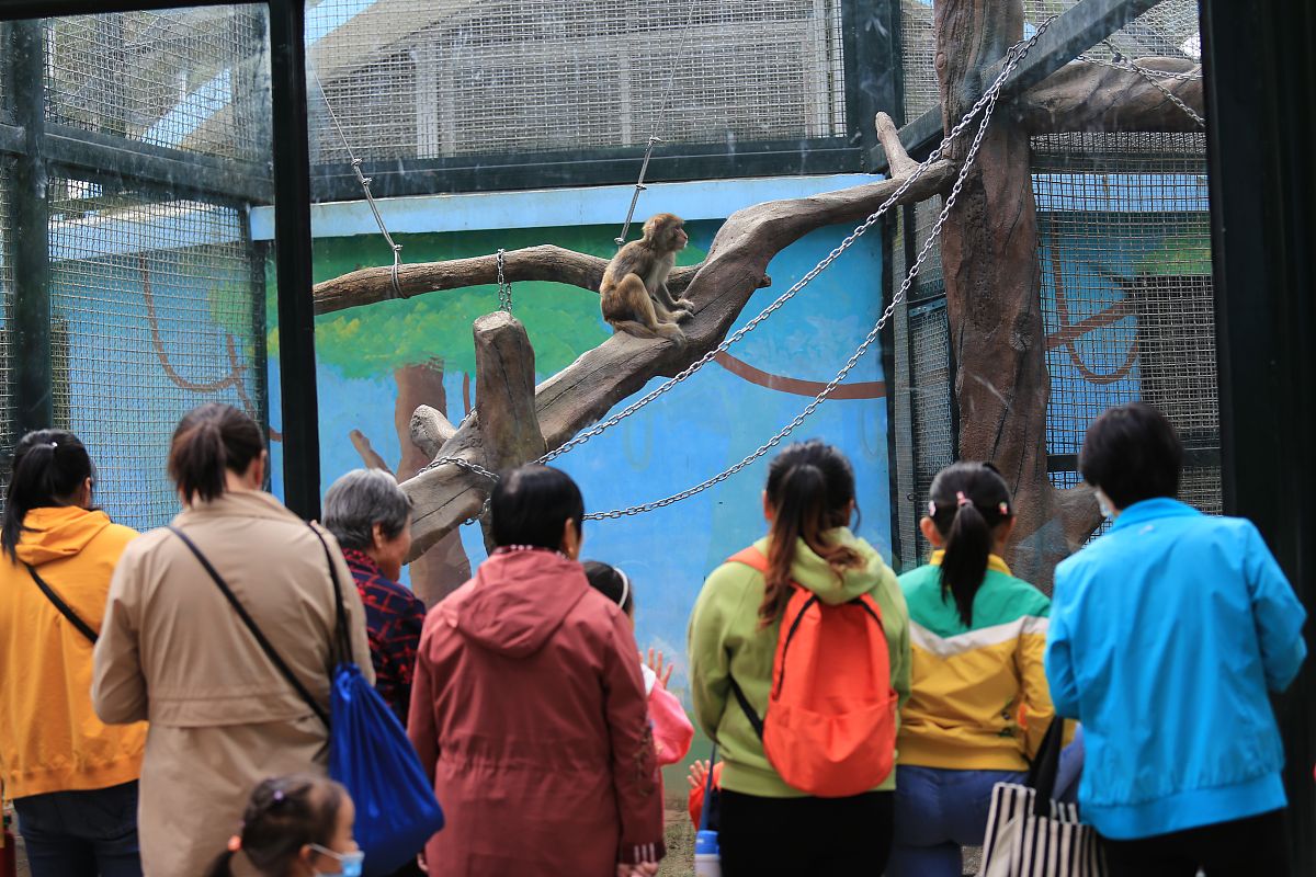 国庆出游记：欢乐无限，美好回忆