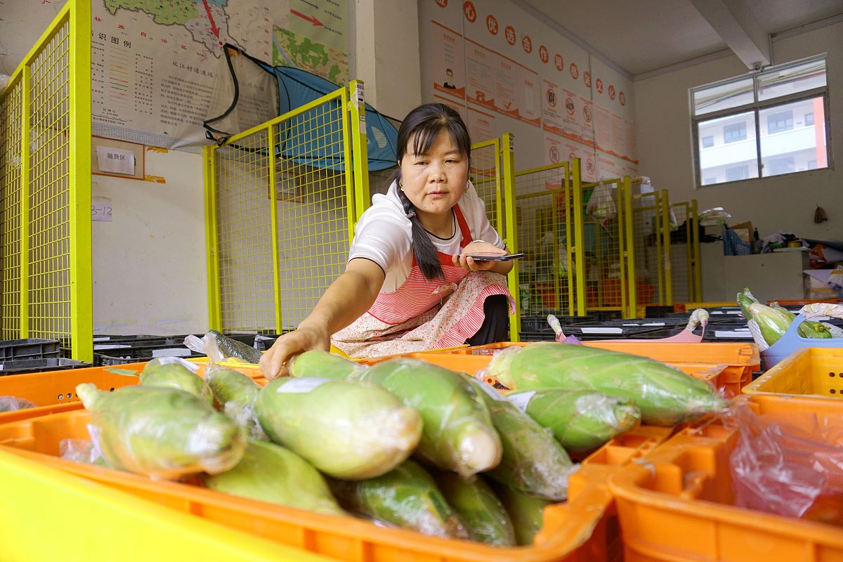从江县职业技术学校农业生产技术专业教学质量考察