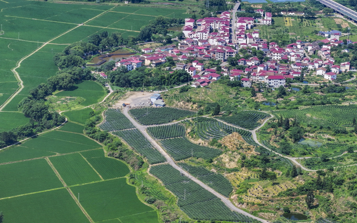 红丰镇美丽乡村建设问题与对策研究