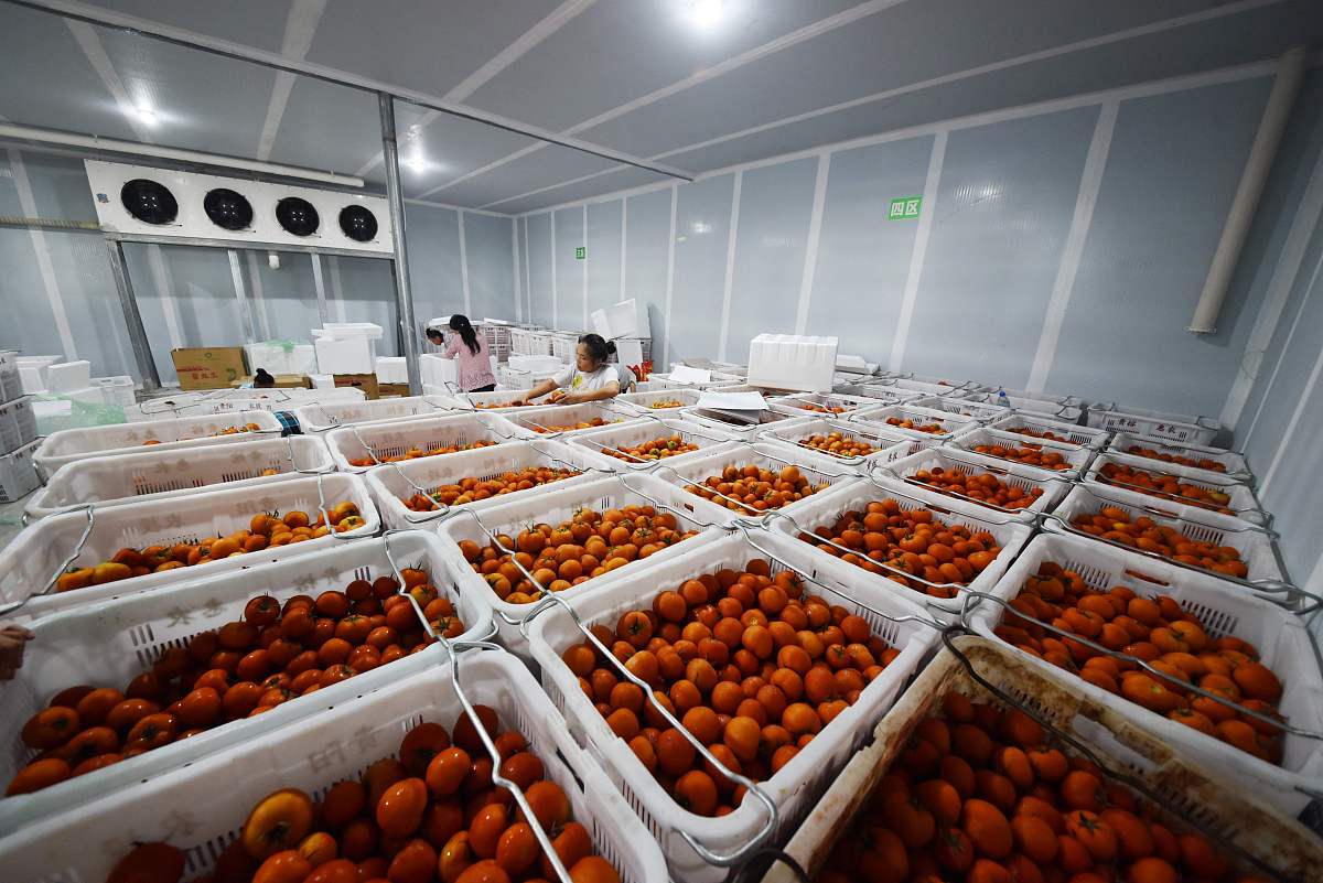 枇杷加工设备工业互联网平台的环境参数区介绍一段话有历史数据功能