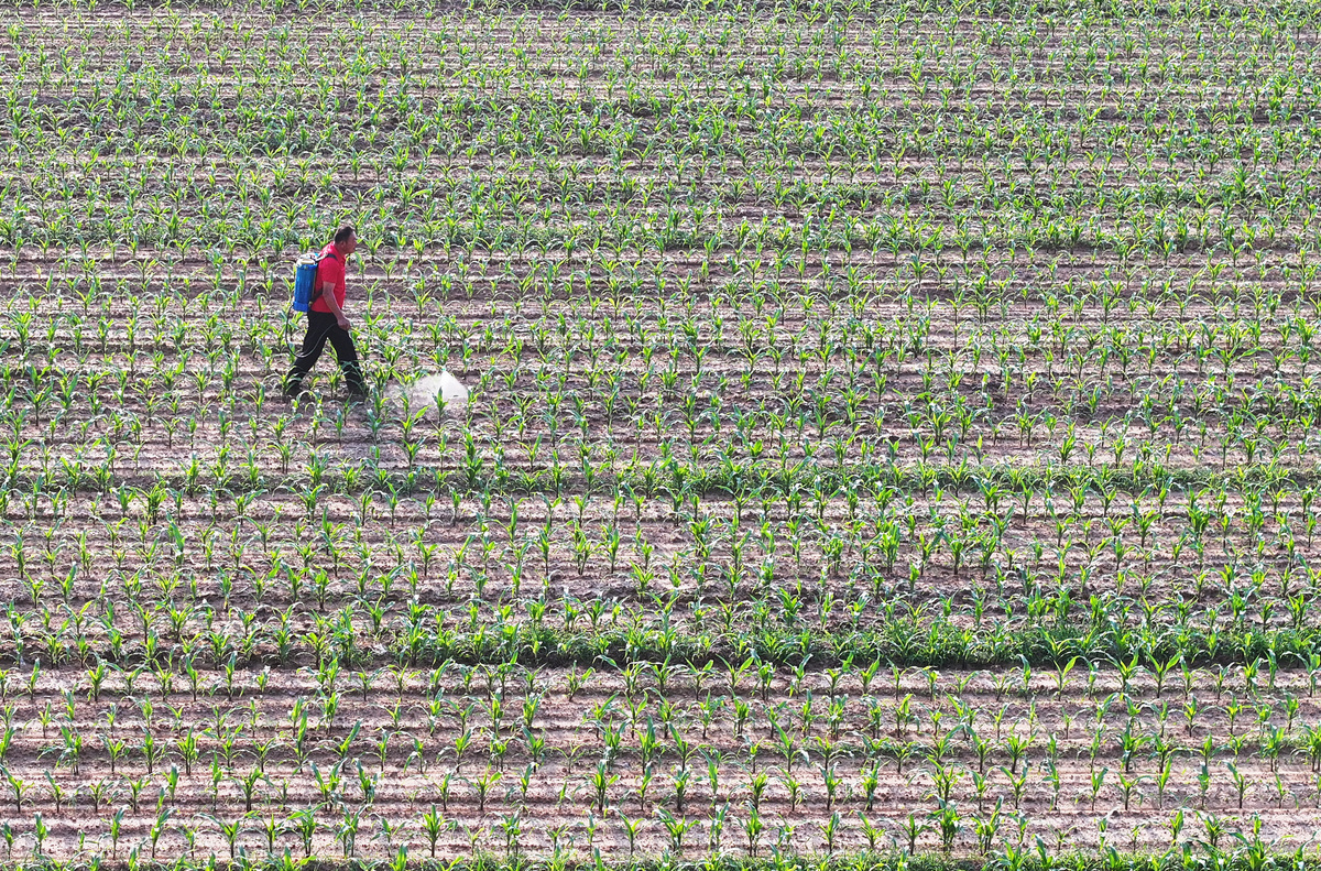 你好农户是什么意思