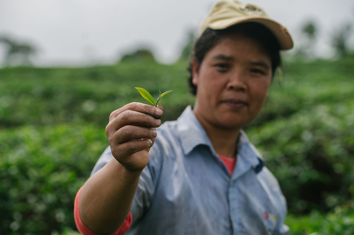 广东生育保险赔付标准：一胎14个月工资，二胎28个月工资！