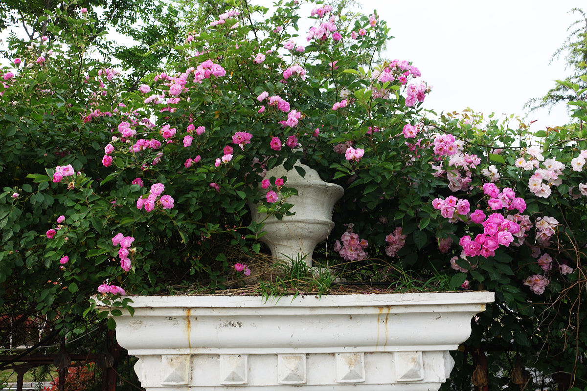 枣庄职业学院云计算技术与应用专业就业前景展望：未来发展趋势及职业方向