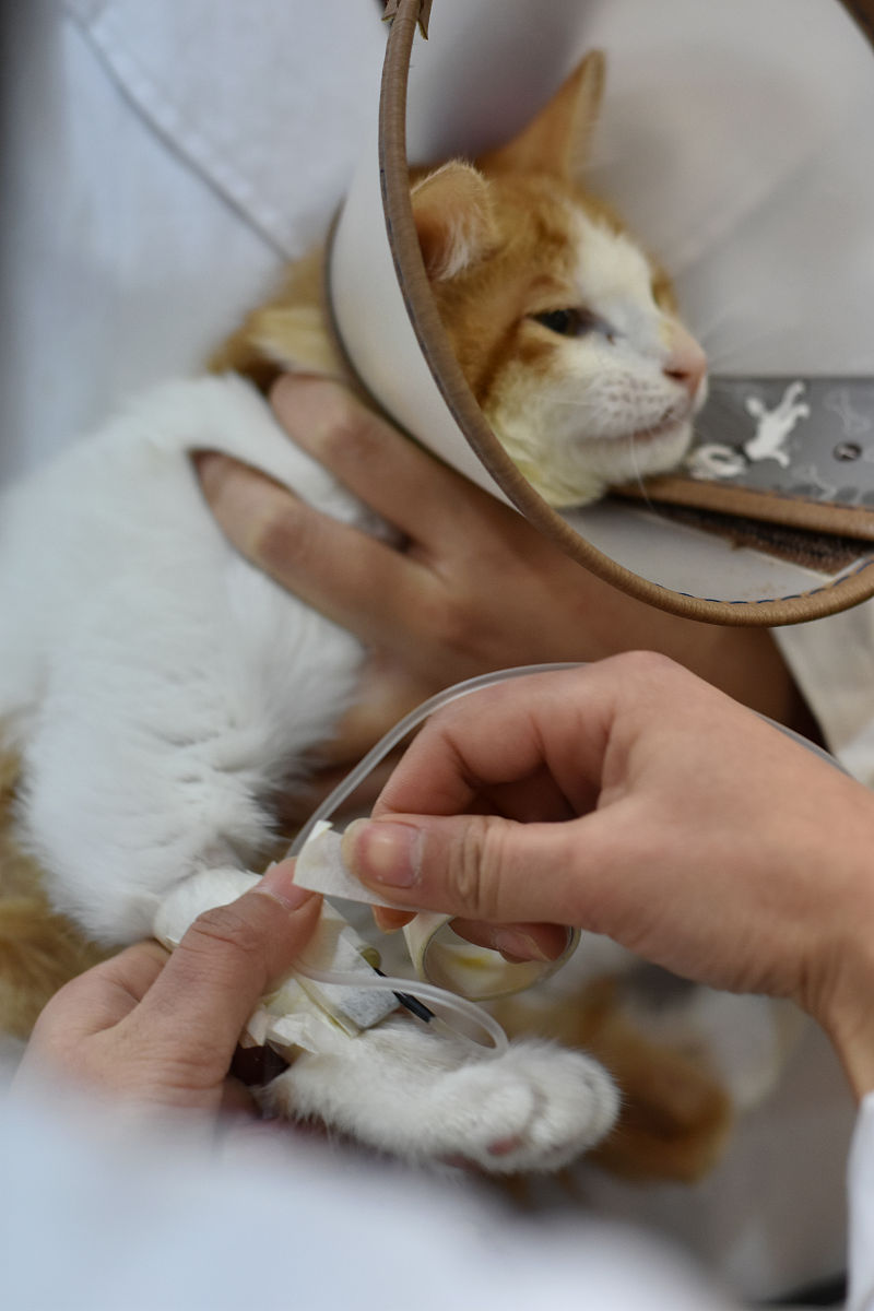 扩充描写：原本在昏迷的李晴右脚上的袜子被慢慢地脱下直到脱离。并写明过程以及原因需合理、有趣而引人注意。