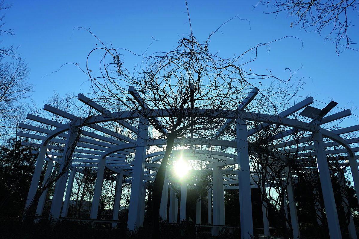 重庆龙门浩职中2020年园林技术专业招生简章