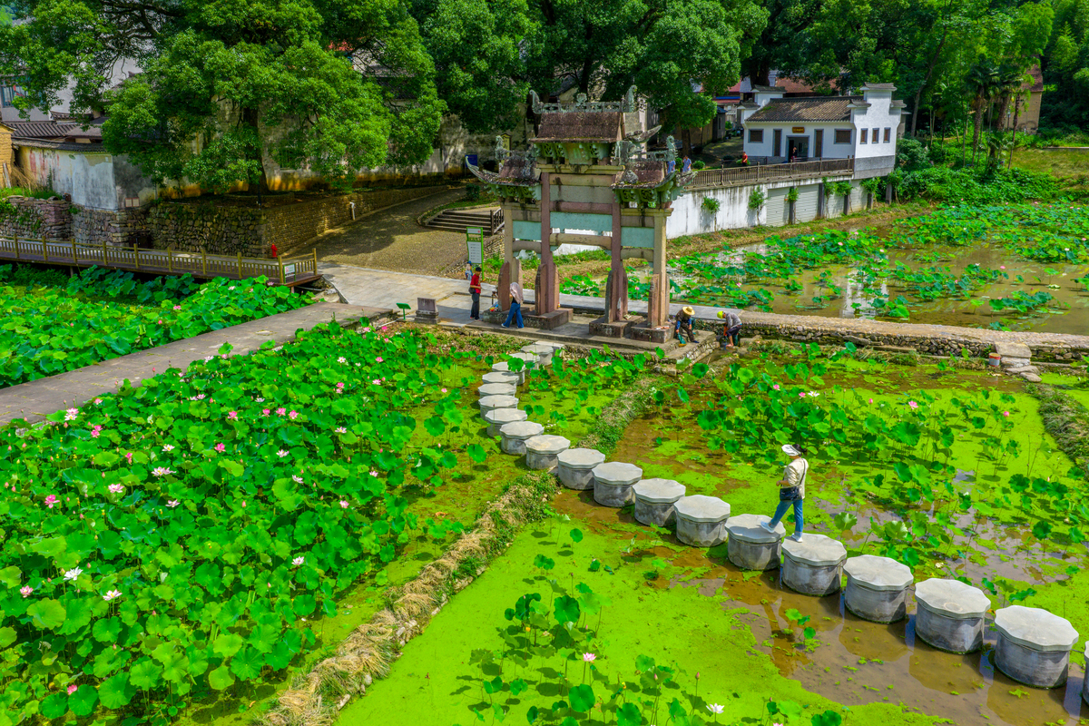 温州市水心街道幸福村 - 历史悠久，风景秀丽