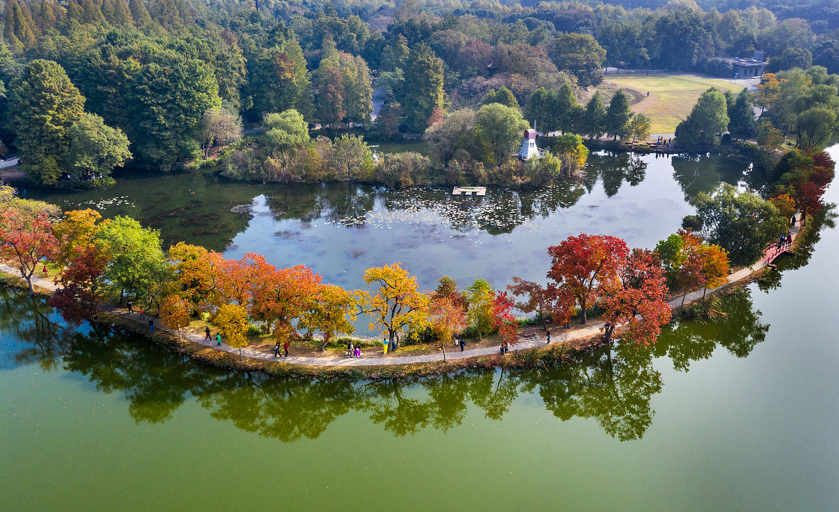 2021年11月3日,南京东郊明孝陵等景点的秋色.深秋时节,南京东郊前湖月