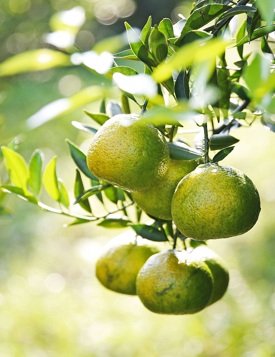 江门市新会机电职业技术学校2023年招生简章 - 机电专业人才培养的摇篮