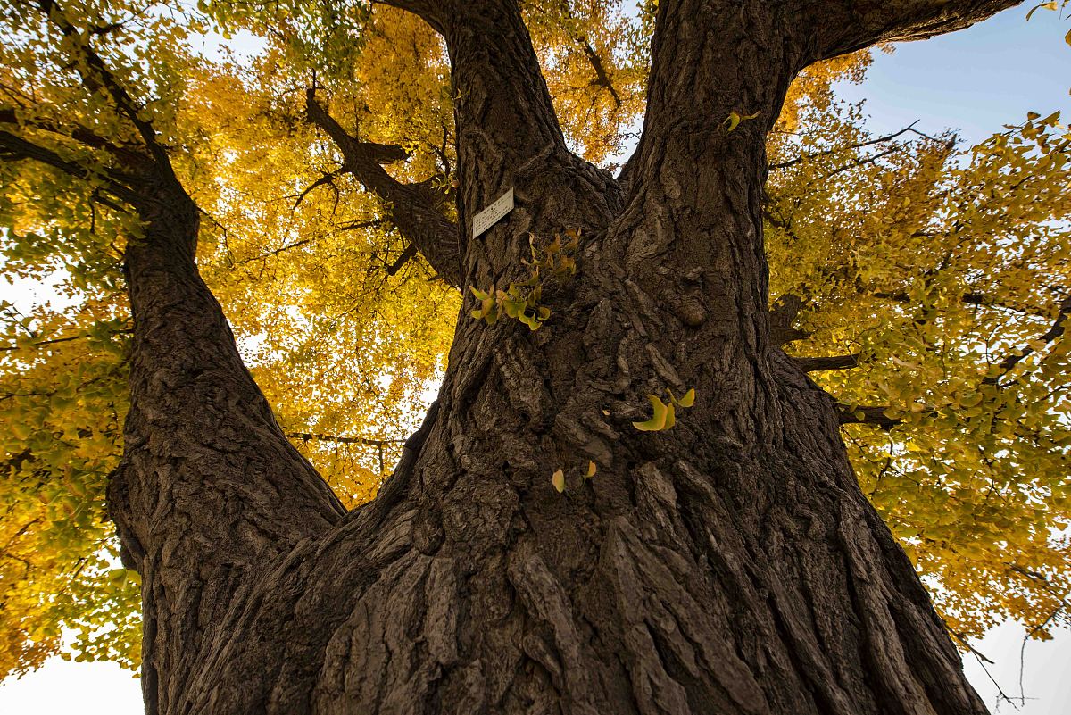 潍坊职业学院电气自动化技术专业怎么样？好学吗？