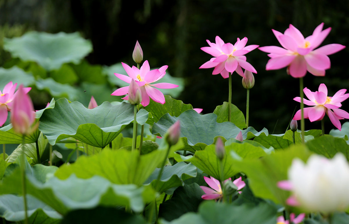 山东水利职业学院网络营销专业优势怎么样发展前景好不好呢