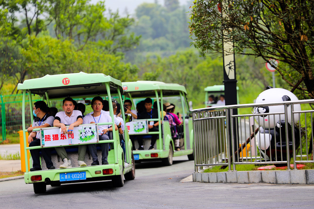 夏日观光车之旅：清凉一夏，感受美好！