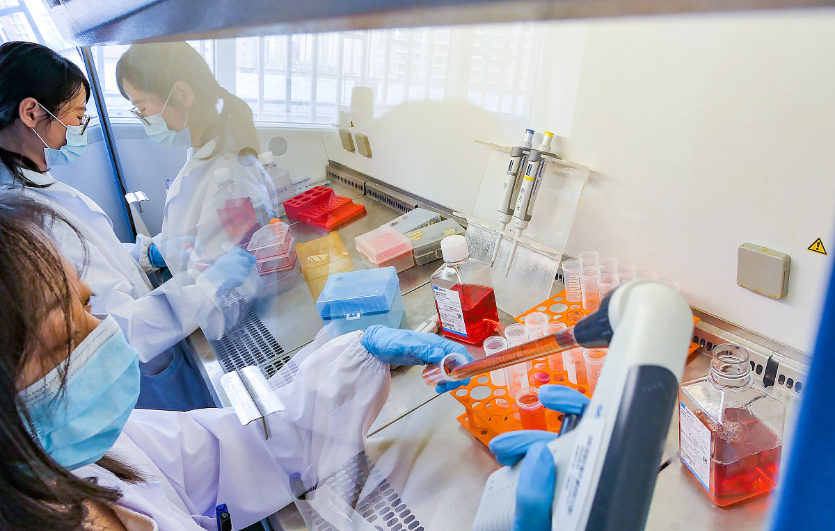 实验动物显微手术技术简介 - 微创手术，精准操作