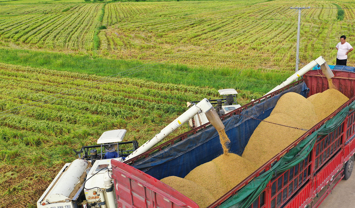 绿色储粮项目方案不少于