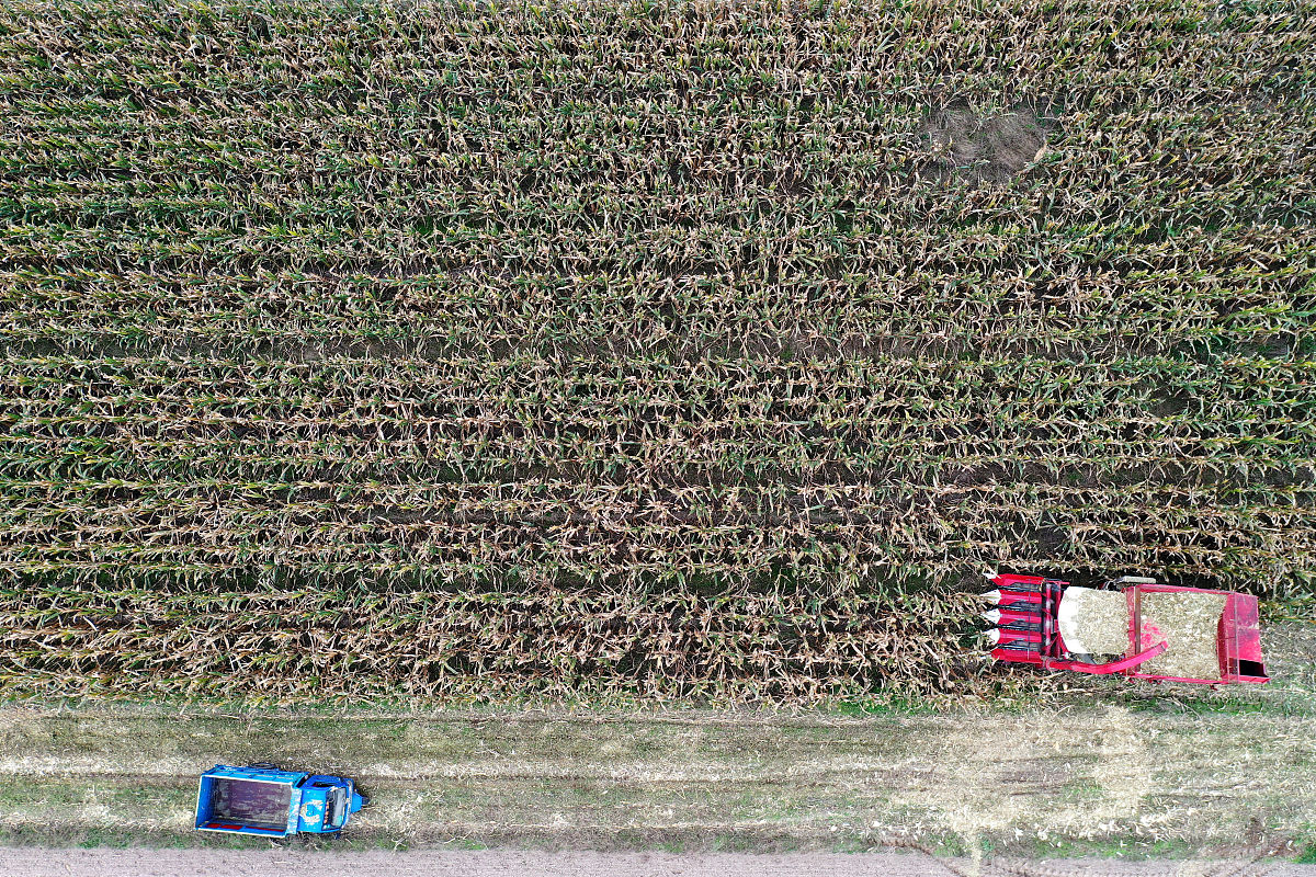 运城博艺美工制版印刷学校2023年招生电话 好不好