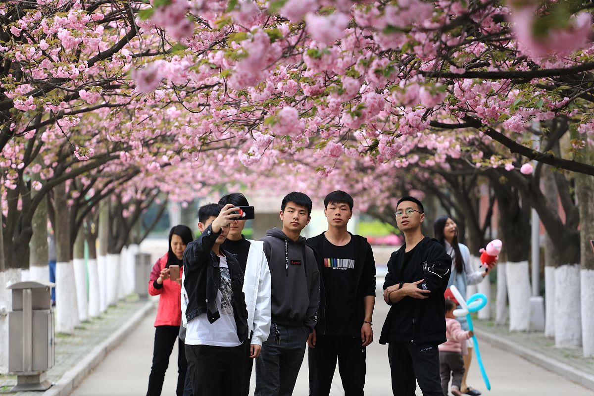 邯郸第四职业中学2021年招生对象