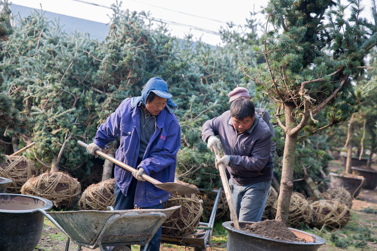 judgeOrderStatestate if state === 通过 thisorderState = true else if state === 驳回 thisorderState = false else if state === 未处理