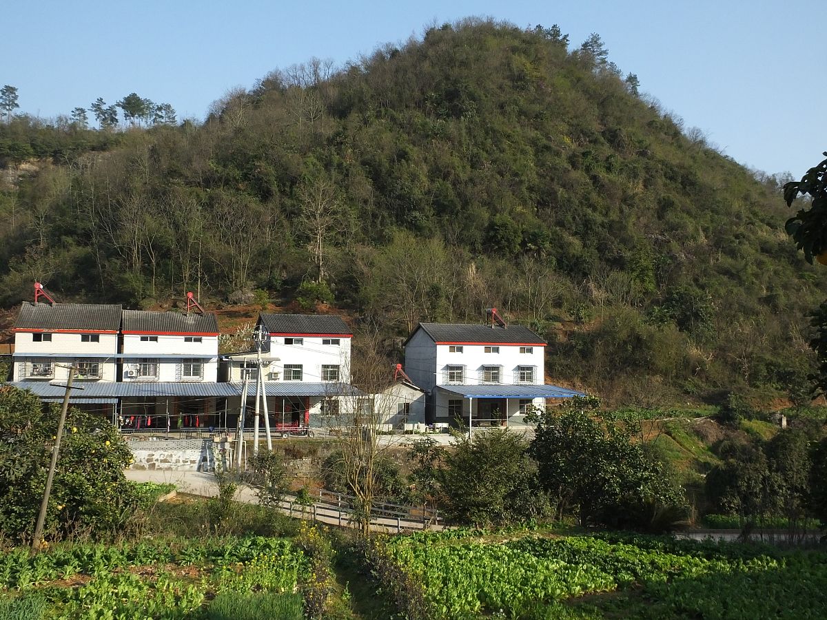 重庆市云阳县沙市镇龙池村村民委员会帮我用200字详细描述