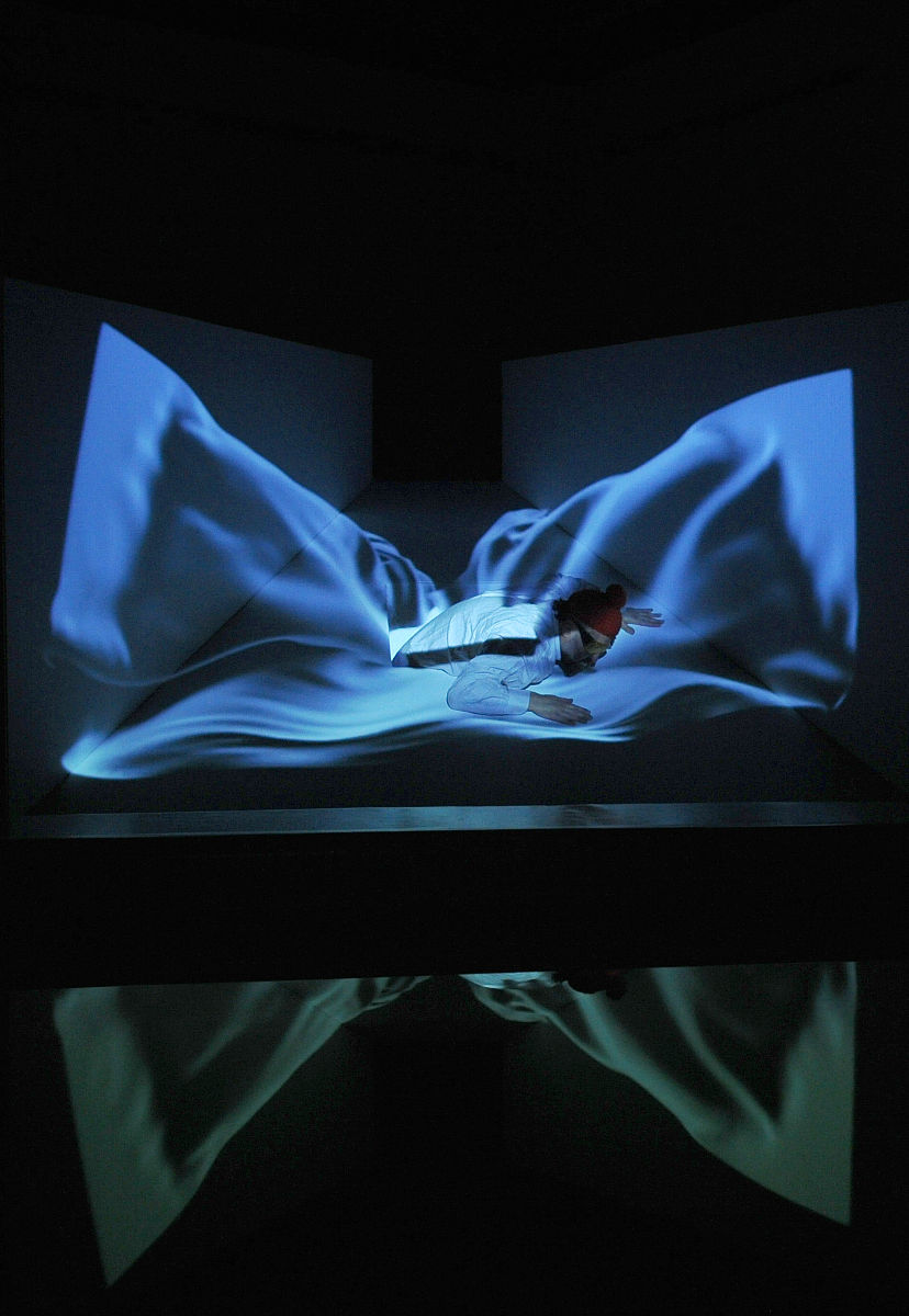2010年12月17日,"谬论仓库"多媒体艺术展览在圣彼得堡erarta画廊举办.