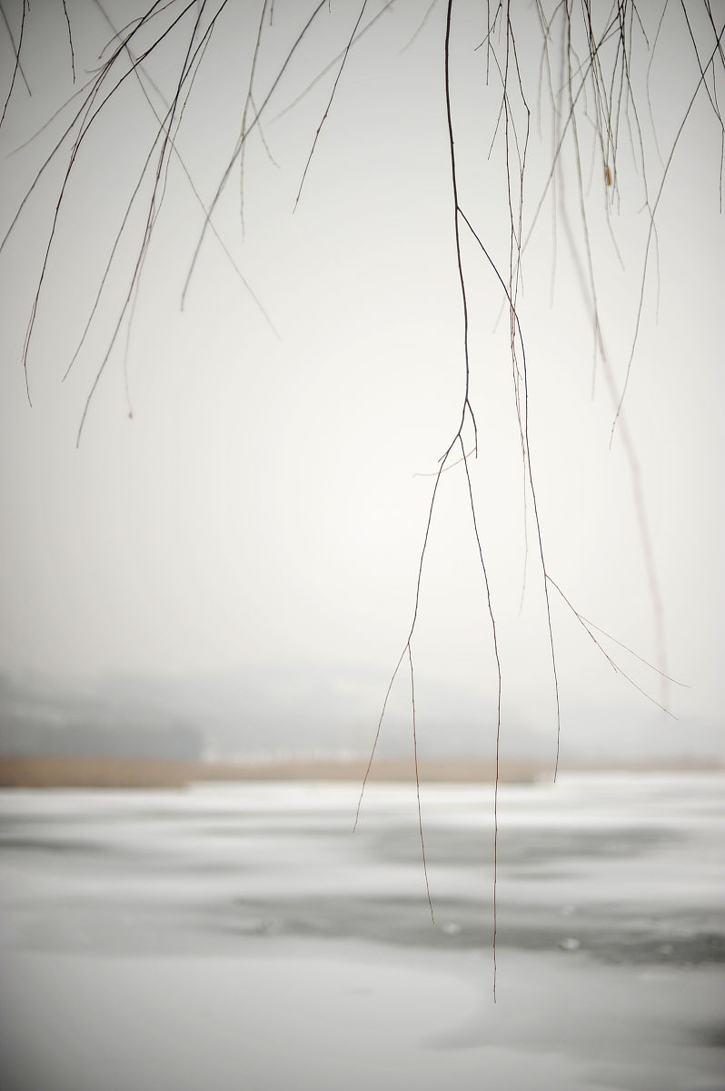 2012年12月15日,北京,奥林匹克森林公园雪景.+++_+++风光,风景,公园,
