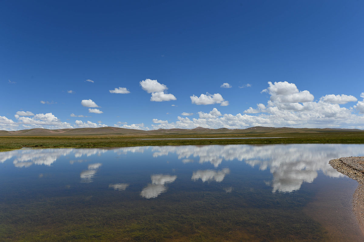 青海幼儿师范学校2022年招生简章 - 培养未来幼教人才的摇篮