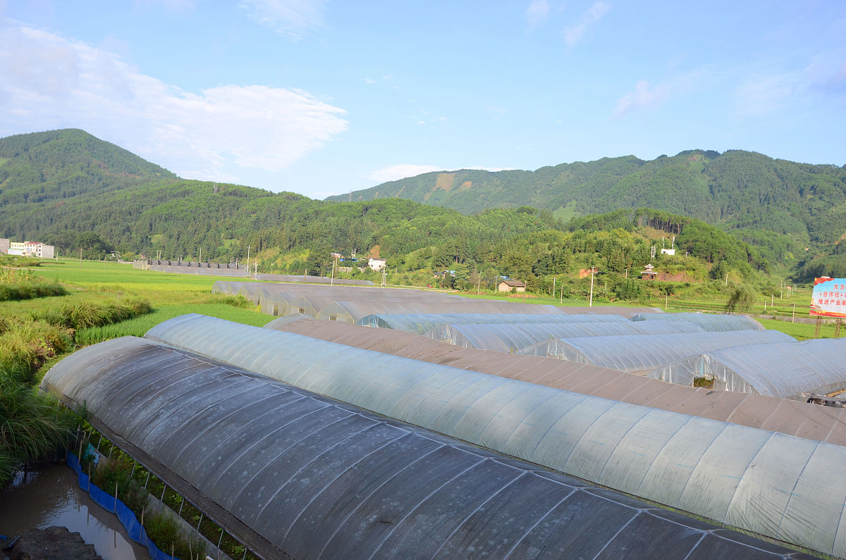 2020年贵州幼师学校包分配情况解析 2020年贵州幼师学校包分配情况解析