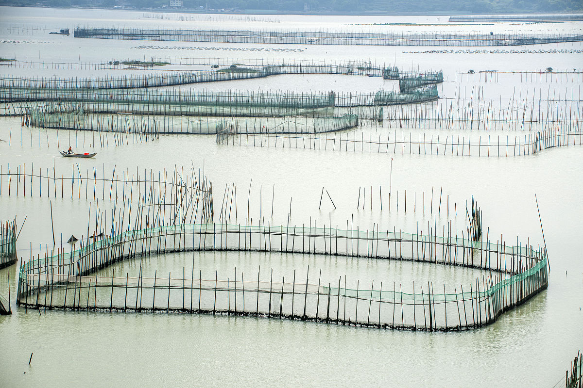 福鼎媒体热线求助电话是多少？。 要求：写一篇5000到8000字左右的文章。