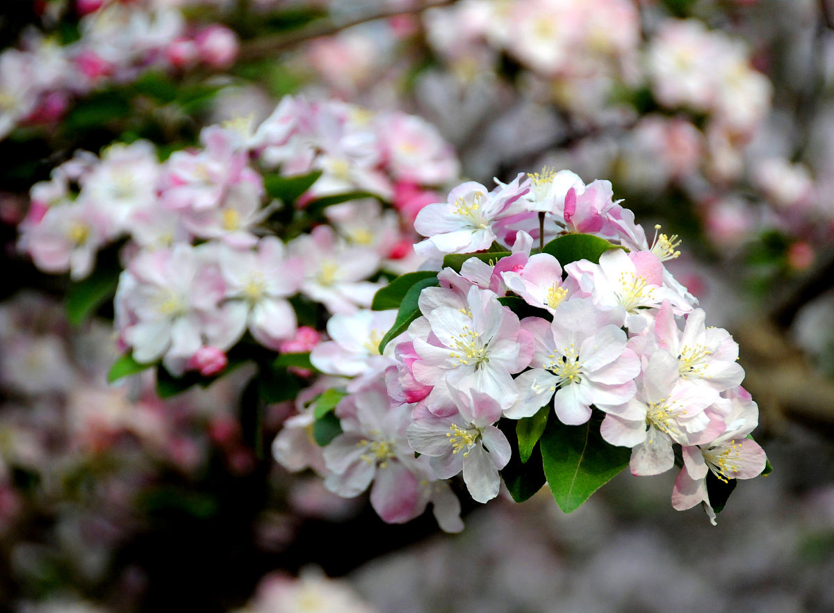 JJG 882-2019 压力变送器校准检验规范 - 确保精度和可靠性