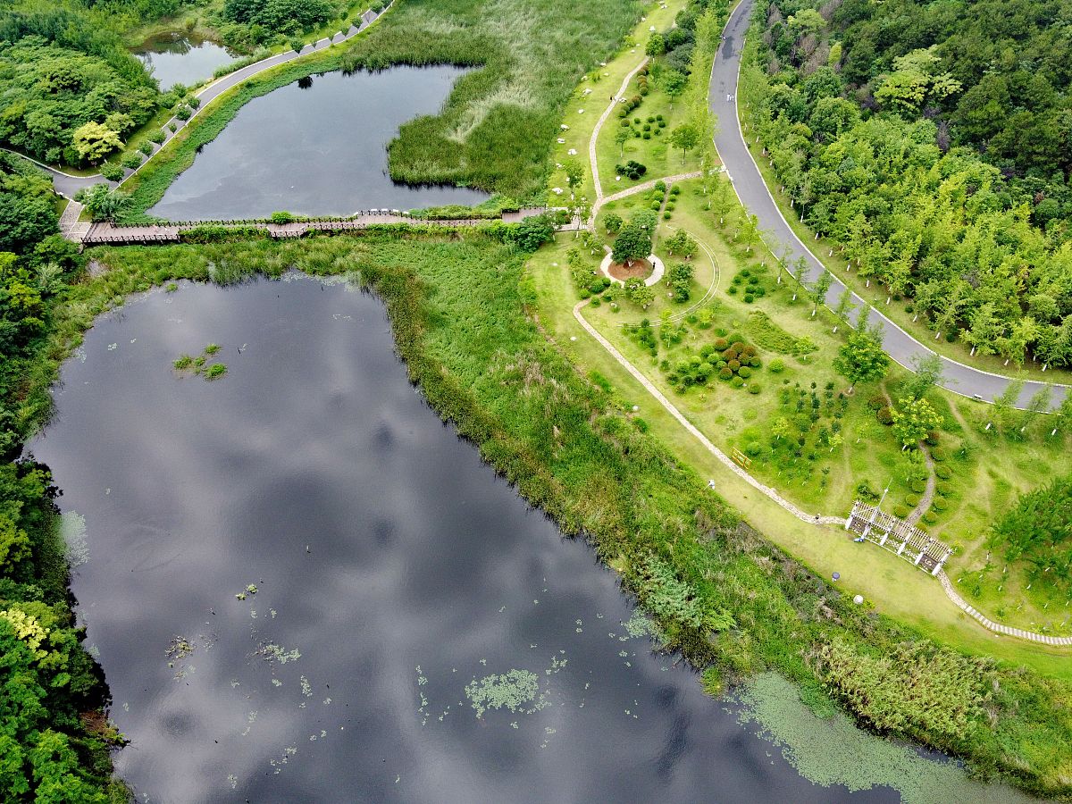 藏龙岛湿地公园研学手册前言 最好加上学校寄语 具体怎么写
