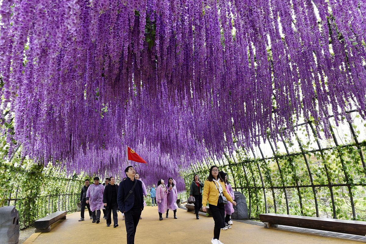 2021年重庆幼师职业学校招生条件如何