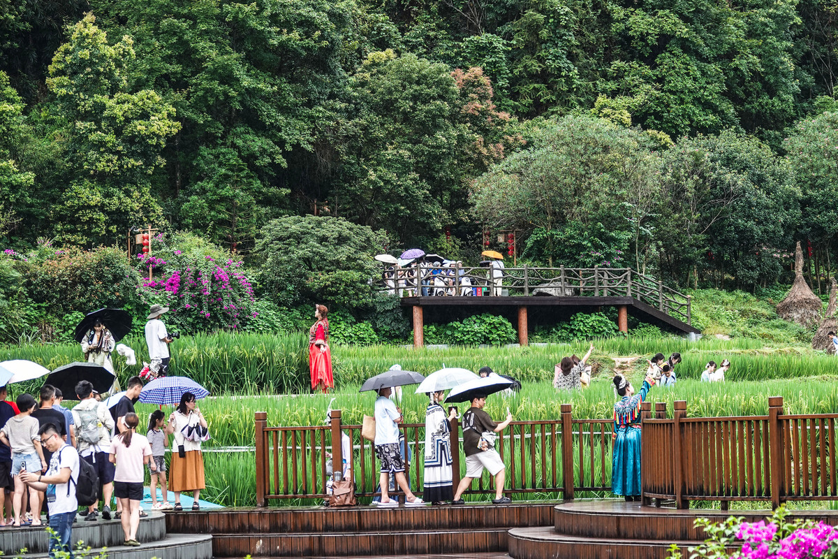 桂林桂花公社游客体验提升研究：如何提高景区吸引力？