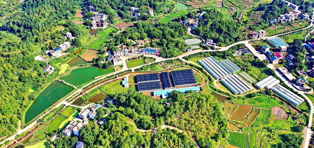 赣州市脱贫致富建议：发展农业、旅游、教育等