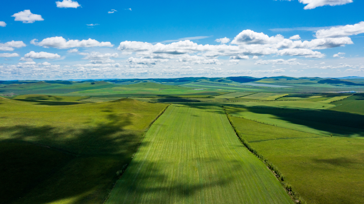 关于科尔沁草原山水林田湖草沙一体化保护和修复工程专题视频制作的服务方案及拍摄七个要素：山、水、林、田、湖、草、沙整合共八部的脚本要求七个版本的分镜头字数不少于15000字。