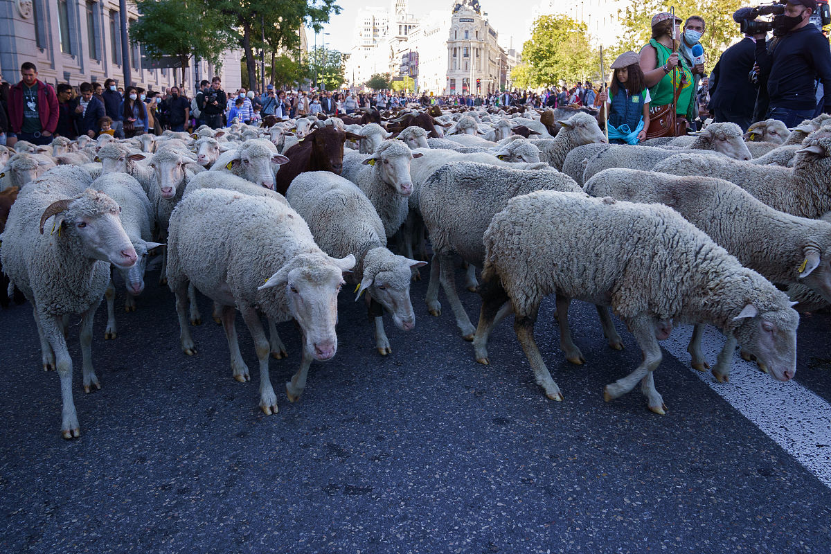 水稻昆虫群落多样性指数、均匀性指数和丰富度计算