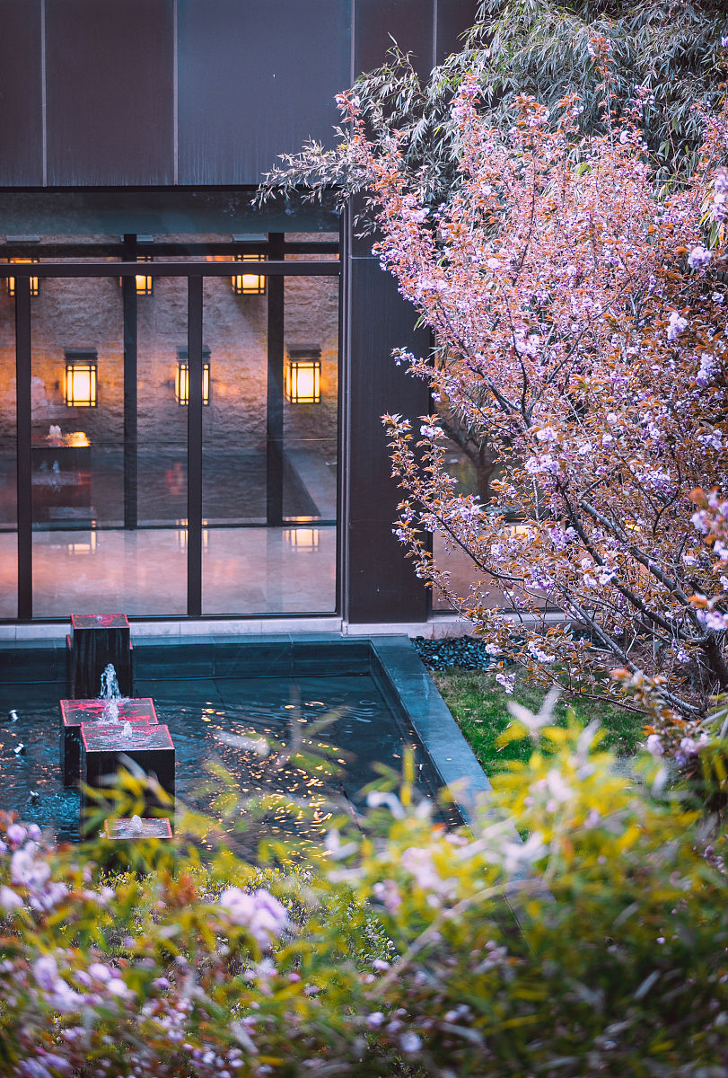 西安市园林技工学校2021年招生专业都有哪些