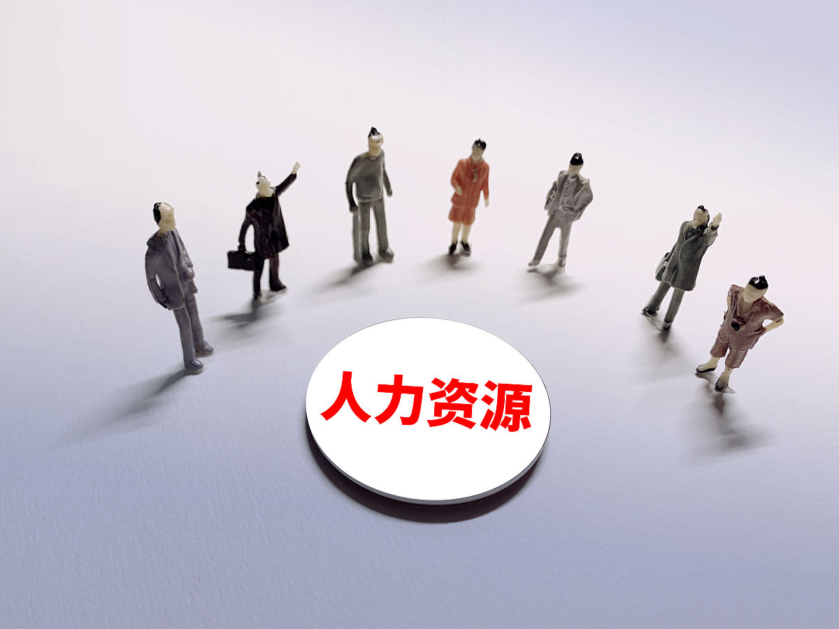 人才引进与培训服务：高效提升企业人力资本