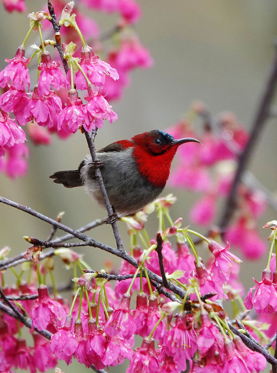 广西中专学校排名：2022年最佳选择