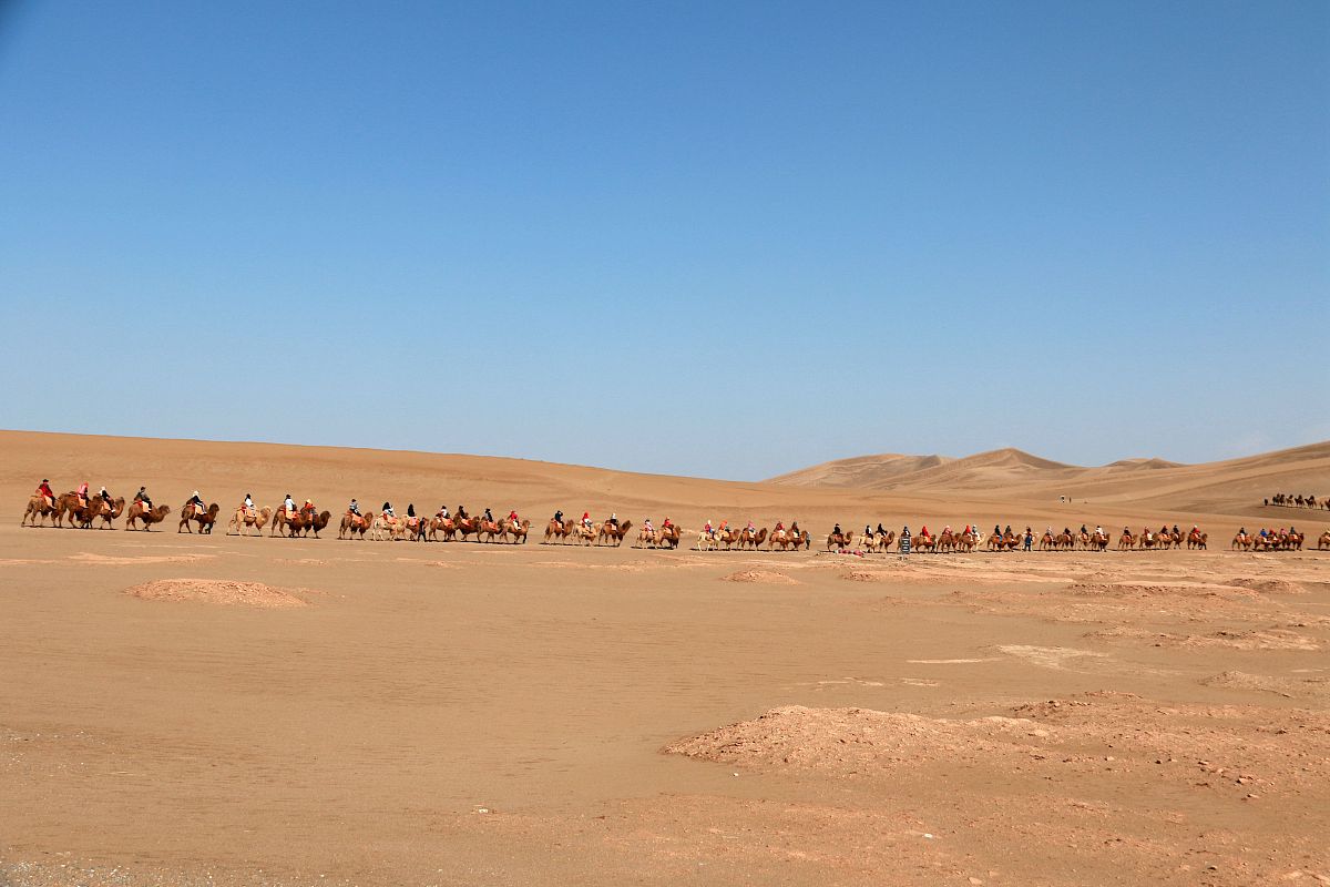 2021年甘肃哪里的幼师学校比较好