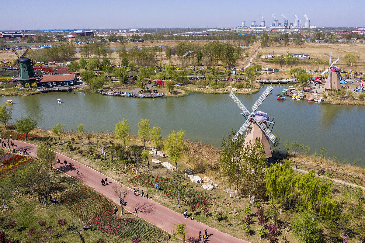 2019年4月14日,山东滨州,滨州市秦皇河公园荷兰风情村以种植郁金香花