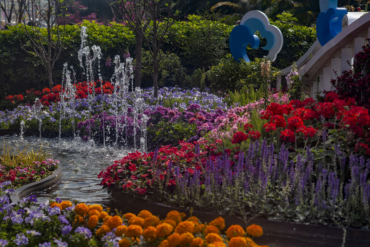 伦敦切尔西花展：百年历史与盛况 | 沉浸式花卉艺术之旅