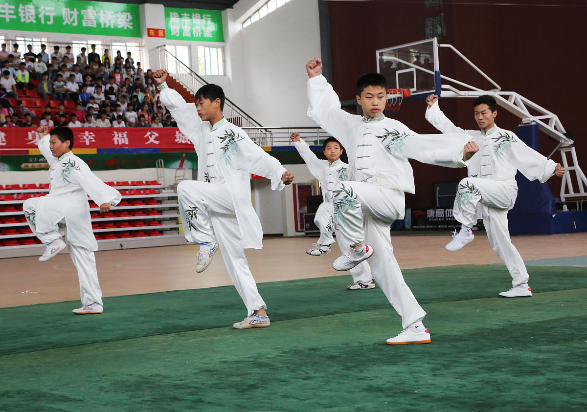 焦作大学武术专业课程设置及教学特色 - 传承文化，注重实践，视野国际