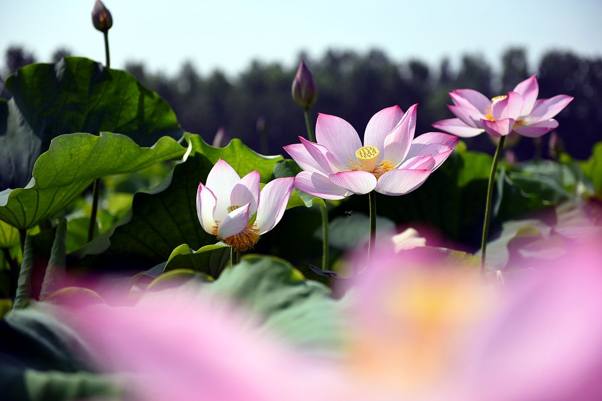 山东省临沂电力学院2019年招生简介：电力工程未来发展趋势