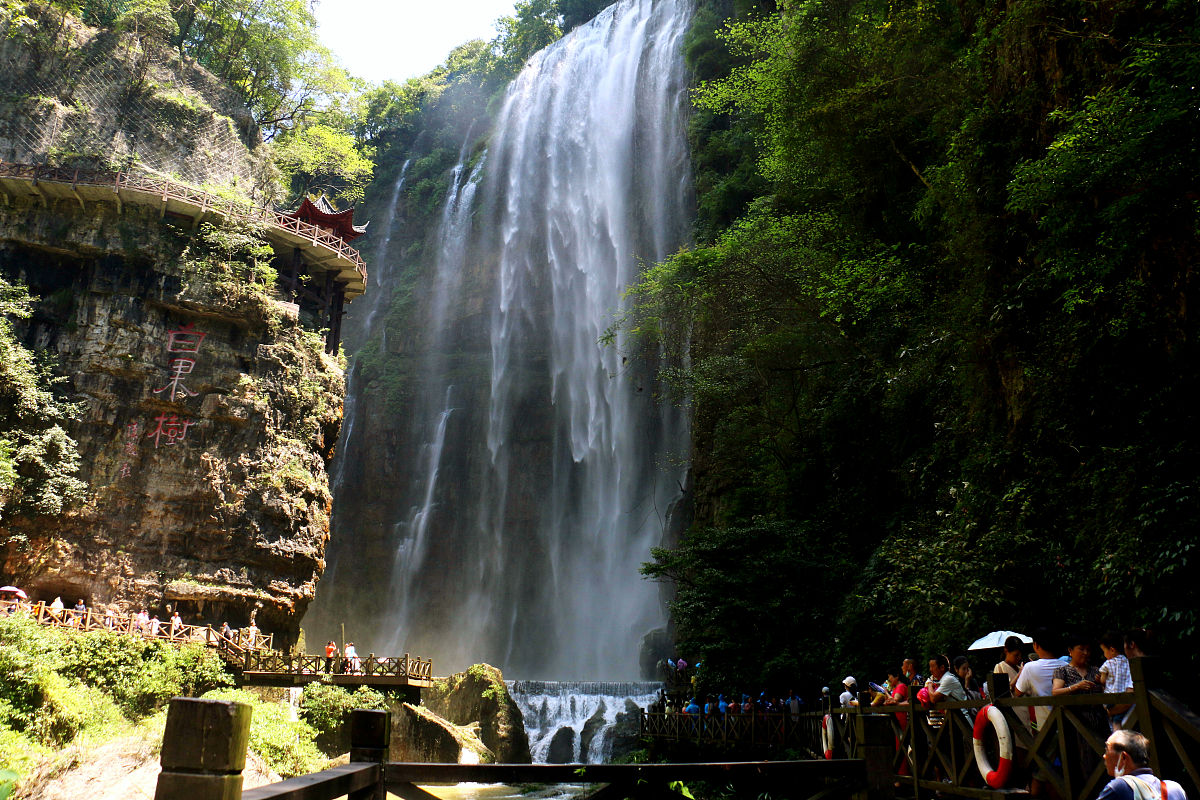 2020年三峡旅游职业技术学院单独招生简章
