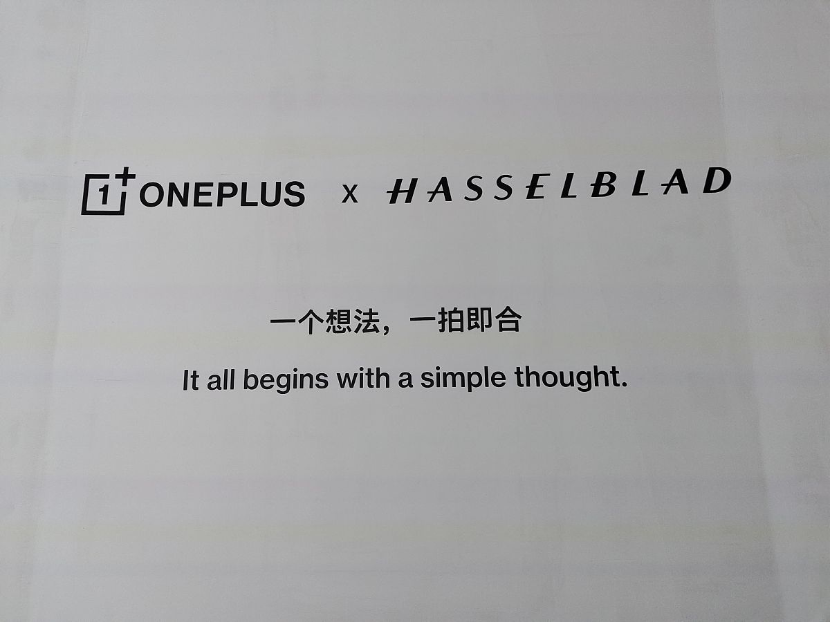 初来乍道请多关照翻译成英文