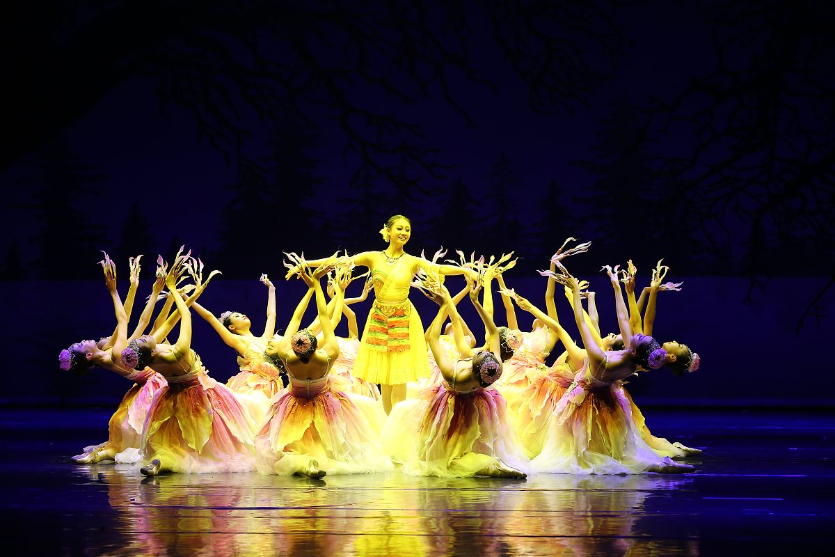 2021年重庆人文艺术职业学校交通运输专业简介